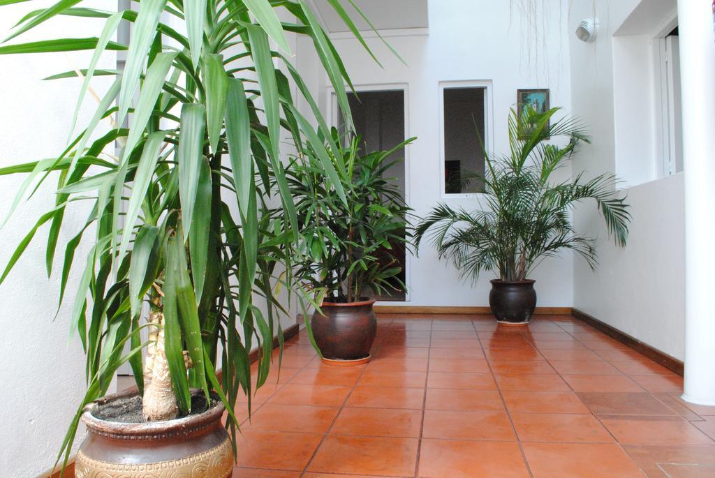 Hotel Romi Colonia del Sacramento Buitenkant foto